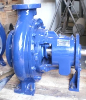Food Process Pump